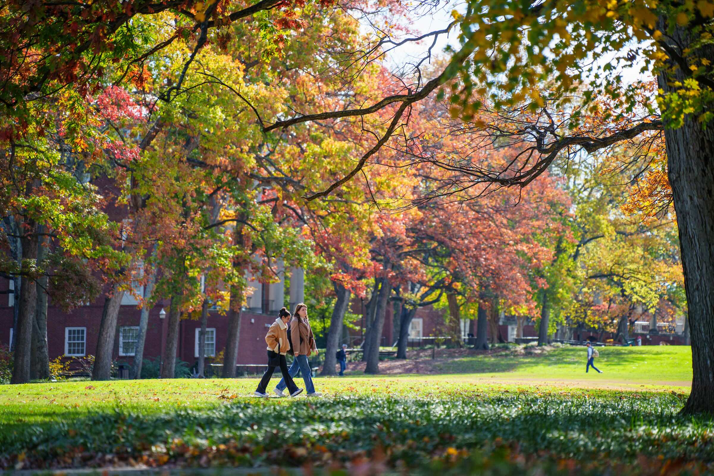 Two students walking across a lush green field surrounded by fall foliage on Vanderbilt University campus